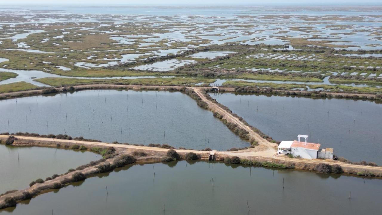 Herdade Dos Salgados Do Fialho FAO Kültér fotó