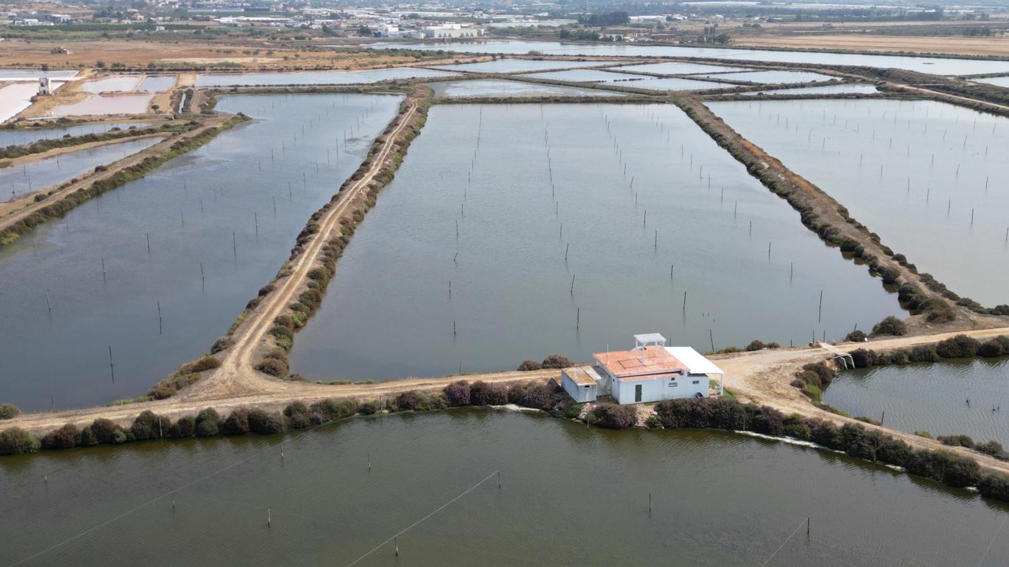 Herdade Dos Salgados Do Fialho FAO Kültér fotó