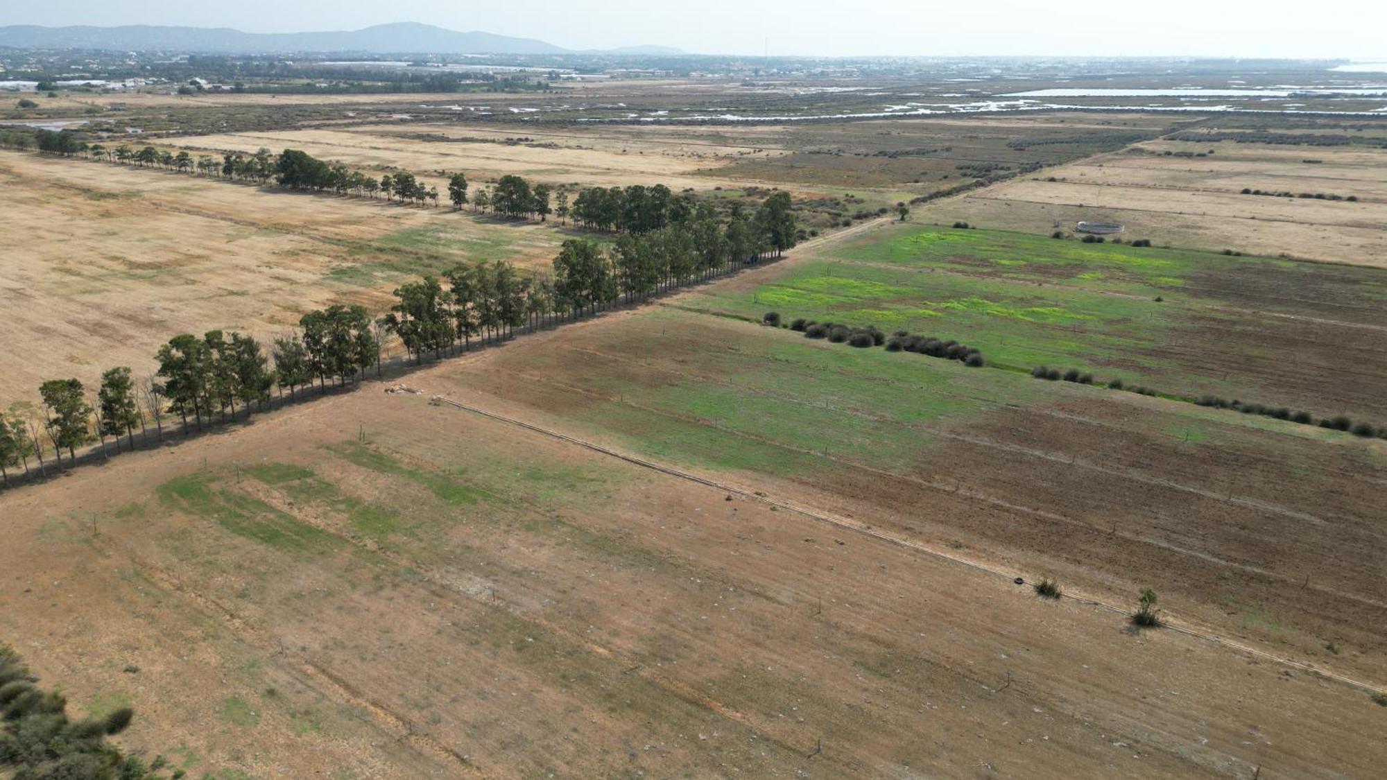 Herdade Dos Salgados Do Fialho FAO Kültér fotó