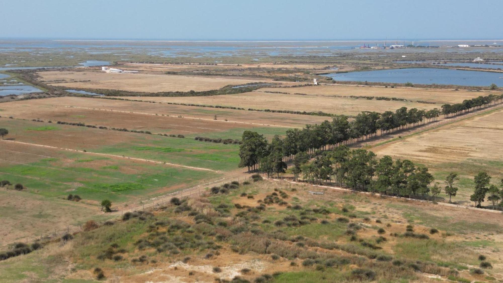 Herdade Dos Salgados Do Fialho FAO Kültér fotó