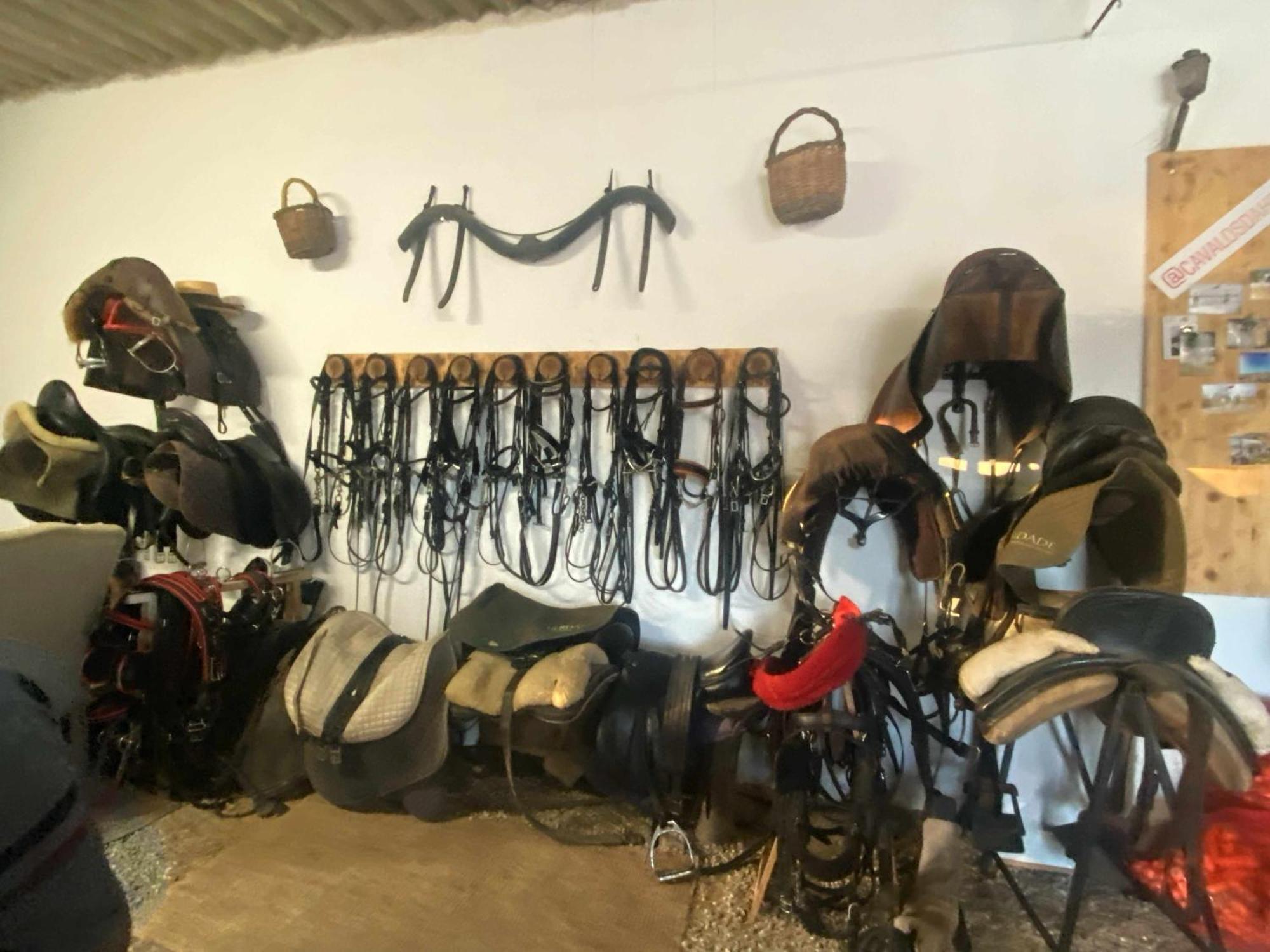 Herdade Dos Salgados Do Fialho FAO Kültér fotó