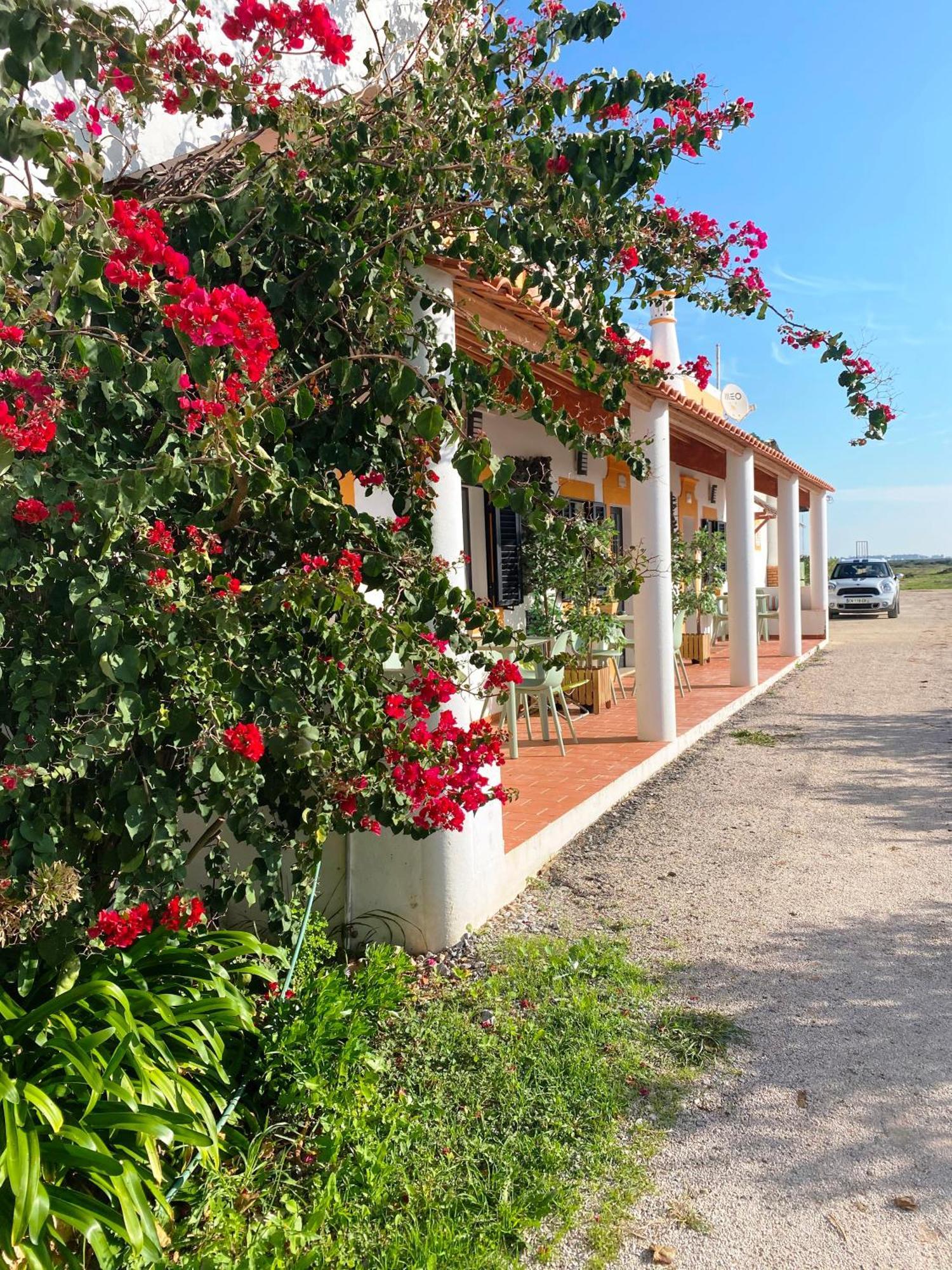 Herdade Dos Salgados Do Fialho FAO Kültér fotó